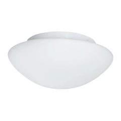 Потолочный светильник Searchlight BATHROOM 1910-35
