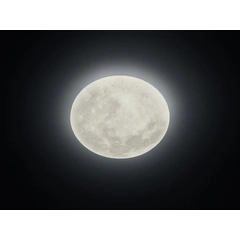 Світильник TRIO LUNAR 627516000