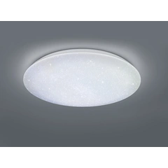 Потолочный светильник TRIO NAGANO 677718000 LED с пультом ДУ