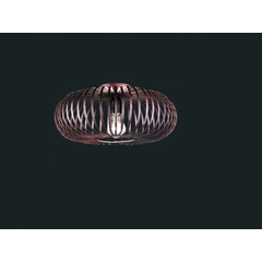 Потолочный светильник TRIO JOHANN 606900162