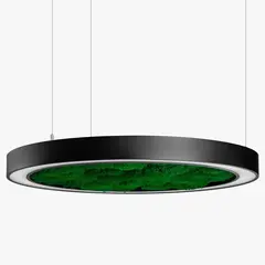 Люстра Imperium Light WHEEL WITH FLAT MOSS 62718001.05.72.93