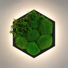Бра Imperium Light FELIZELI FERN 79112602.05.71.92