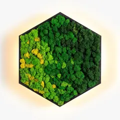 Бра Imperium Light FELIZELI REINDEER MOSS 78513603.05.99.92