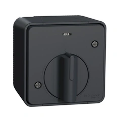 Вимикач із таймером IP55, зовнішній монтаж, чорний, Mureva Styl Schneider Electric MUR35067