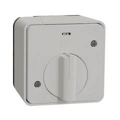 Вимикач із таймером IP55, зовнішній монтаж, білий, Mureva Styl Schneider Electric MUR39067