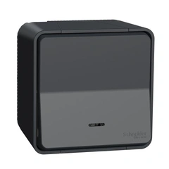 Кнопковий вимикач з підсвічуванням в зборі IP55, чорний, Mureva Styl Schneider Electric MUR35028