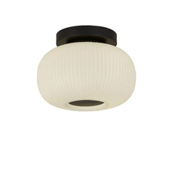 Стельовий світильник Searchlight LUMINA 10271-1BK