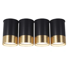 Точковий світильник Pikart BP BLACK/WHITE GOLD 25624-1