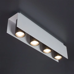 Потолочный светильник ImperiumLight Bonn 316448.01.05
