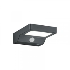 Вуличний світильник TRIO FOMOSA R22281142 із датчиком руху