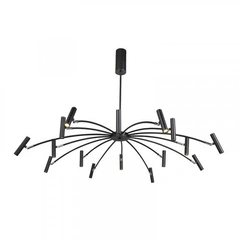 Люстра Laguna Lighting 42863-55