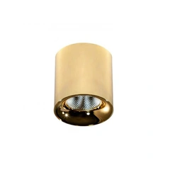 Точковий світильник Azzardo Mane 20W AZ4154