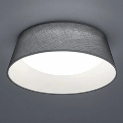 Потолочный светильник TRIO R62871211 PONTS