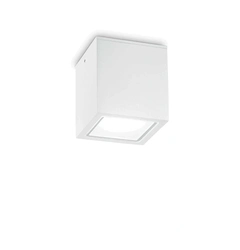 Ideal Lux TECHO 251523
