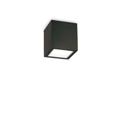 Ideal Lux TECHO 251578