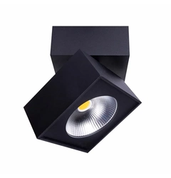 Потолочный светильник MAXlight ARTU C0191