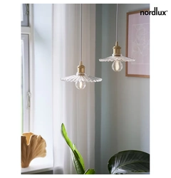 Підвісний світильник Nordlux Torina 20 2213173000