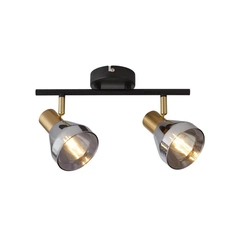 Потолочный светильник Searchlight WESTMINSTER 23801-2SM