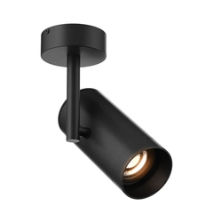 Потолочный светильник Zuma Line TORI SL 2 20015-BK-N