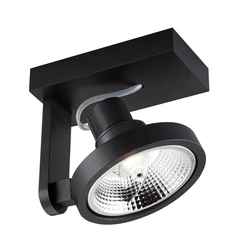 Светильник потолочный Zuma Line MASTER 111 SL ACGU10-181-N