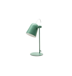 Настільна лампа Zuma Line TABLE LAMP FT-0371-GN