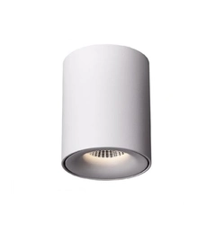 Потолочный светильник Mistic ELONG 6W IP44 матовый белый (5411070)