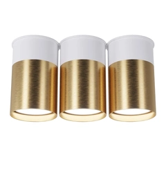 Точечный спот PikArt BP Black/White Gold тройной 25606