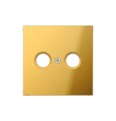 Панель розетки TV+R JUNG GO2990TV имитация золота
