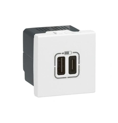 Розетка USB-C+USB-A 3,0A 15Вт 2 модуля MOSAIC 77592 цвет белый