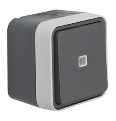 Перемикач із підсвічуванням IP55, сірий, 10АX/250В W.1