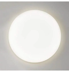 Стельовий світильник Searchlight CORONA 60W 4000K AM-CORO60-4EMS