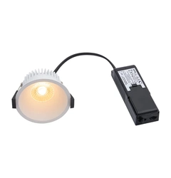 Точковий світильник Nordlux ALBRIC 2310340001