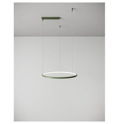 Подвесной светильник Ring 550-Forest-RAL 6003