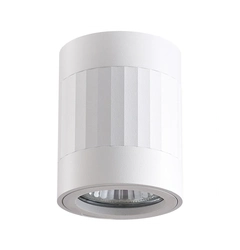 Точечный светильник Goldlux 319845 Rubin Paski GU10 1x10W IP20 Wh