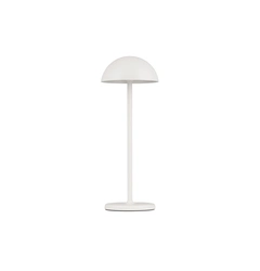 Настольная лампа ROSE Nova Luce 9281380