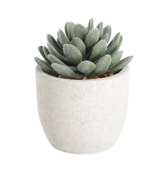 Искусственное растение в горшке CHITOSE Eglo Living 428011