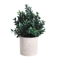 Искусственное растение в горшке CHITOSE Eglo Living 428028