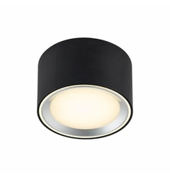 Точковий накладний світильник Nordlux FALLON 47540103