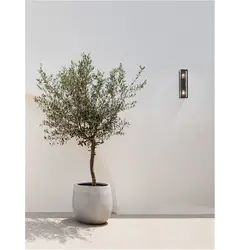 Nova Luce REGINA 9492442