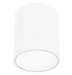 Точковий накладний світильник Nordlux FALLON 47550101