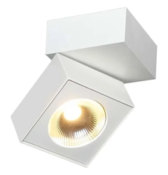 Потолочный светильник Maxlight ARTU C0106