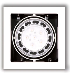 Точковий світильник Maxlight MATRIX I H0059
