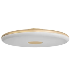 Стельовий світильник Osmont ZETA ZET60018, LED 38W, 60 см, світло вниз