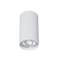 Спот TK-Lighting 10023 TUNE WHITE S