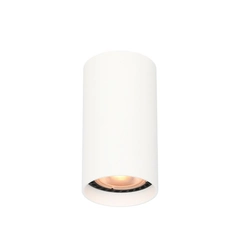 Точковий світильник Italux CLN-48930-S-WH Lopus GU10 1x10W IP20 Wh