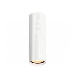 Точковий світильник Italux CLN-83920-M-WH Rilok GU10 1x10W IP20 Wh