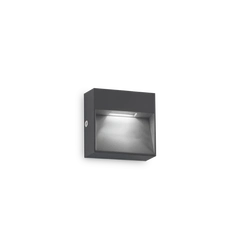 Вуличне бра DEDRA LED 10 ANTR Ideal Lux 316871