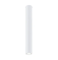 Стельовий світильник EMIBIG Lighting TECNO 1317/1L