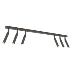 Стельовий світильник EMIBIG Lighting IVI 1351/6