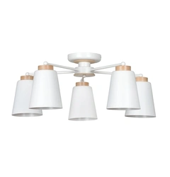Стельовий світильник EMIBIG Lighting PERIOT 477/5